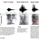 Image for article titled Yanny or Laurel solved: Check out these waveforms